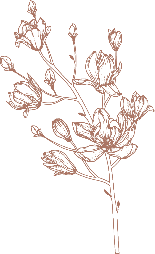 leaf-brown3-right_new.png