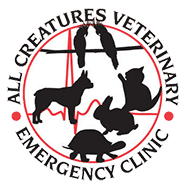 Veterinary Emergency Clinic