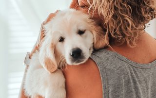 Pet Loss
