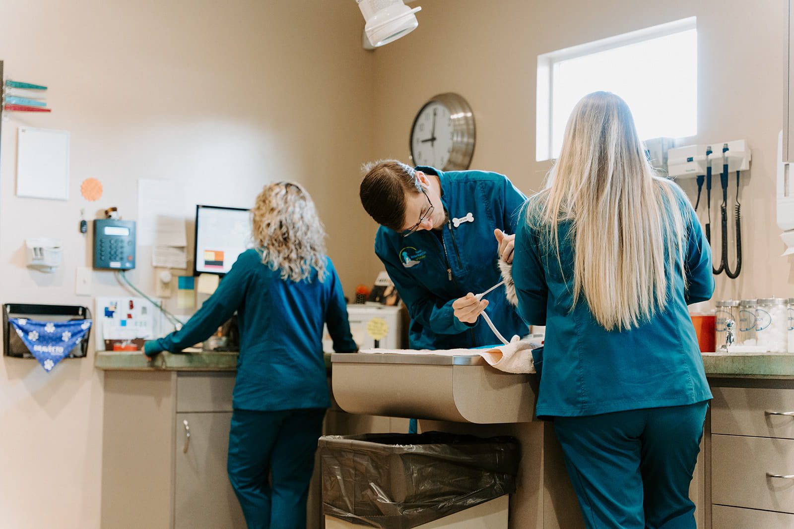 Vets Giving An Exam