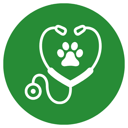 Wellness Care